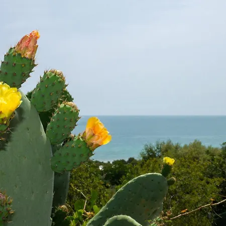 Nyaraló Sa Perda Tunda *