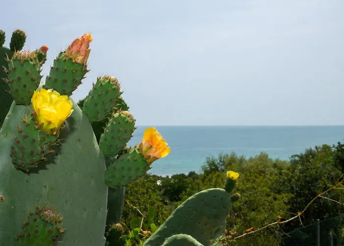 Holiday home Sa Perda Tunda *