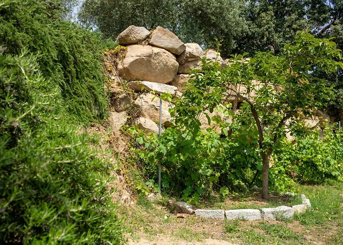 Дом отдыха Sa Perda Tunda *